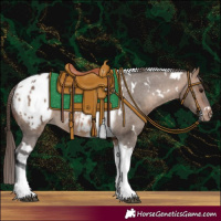 Horse Color:White Spotted Brown Dun Tobiano Varnish 