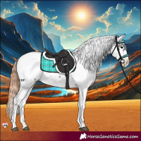 Horse Color:Grullo Appaloosa 