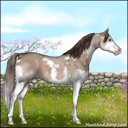 Horse Color:Liver Red Dun Splash
