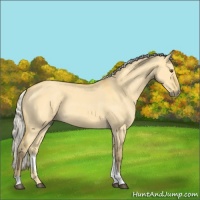 Horse Color:Silver Buckskin Dun Tobiano 