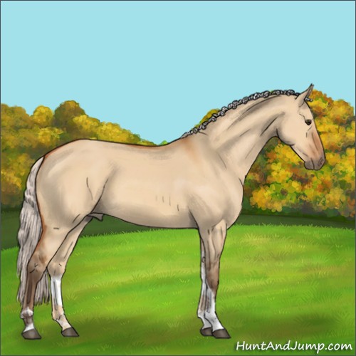 Horse Color:Silver Bay Dun Tobiano
