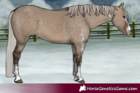 Horse Color:White Spotted Silver Brown Dun 