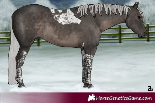 Horse Color:Gray Platinum Silver Black Tobiano