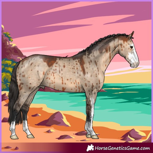 Horse Color:Bay Dun Sabino Brindle 