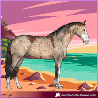 Horse Color:Bay Dun Sabino Brindle 