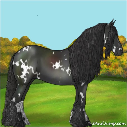 Horse Color:White Spotted Liver Chestnut 