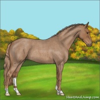 Horse Color:Red Roan 