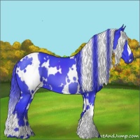 Horse Color:Watercolor White Spotted Liver Chestnut 