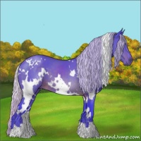 Horse Color:Watercolor White Spotted Silver Brown 