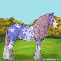 Horse Color:Watercolor White Spotted Liver Chestnut Ice Splash 