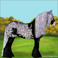 Horse Color:Watercolor White Spotted Silver Bay Splash Tobiano 