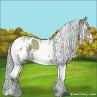 Horse Color:Watercolor White Spotted Silver Brown Dun Tobiano 