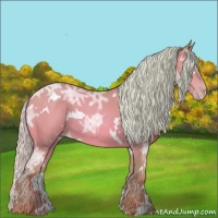 Horse Color:Watercolor White Spotted Silver Sable Champagne Ice 