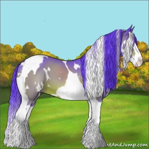 Horse Color:Watercolor White Spotted Brown Splash Tobiano 