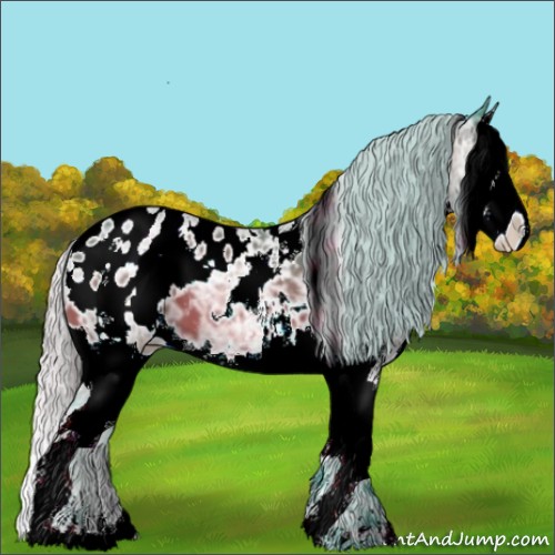 Horse Color:Watercolor White Spotted Silver Brown Ice Splash Appaloosa 