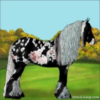 Horse Color:Watercolor White Spotted Silver Brown Ice Splash Appaloosa 