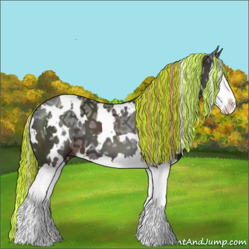 Horse Color:Painted White Spotted Liver Chestnut Ice Splash 