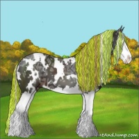 Horse Color:Painted White Spotted Liver Chestnut Ice Splash 