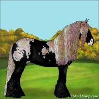 Horse Color:Nacre White Spotted Liver Chestnut Ice Splash 