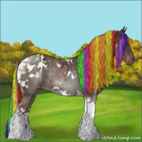 Horse Color:Painted White Spotted Liver Chestnut Tobiano 