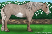 Horse Color:Silver Blue Roan Sabino Frame