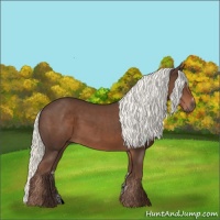Horse Color:Liver Chestnut Mushroom Sabino 