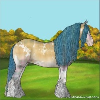 Horse Color:Watercolor Plaid White Spotted Sable Champagne Onyx