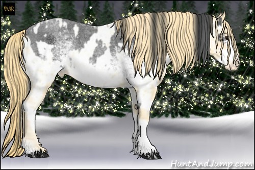 Horse Color:White Spotted Blue Roan Splash and Buckskin Roan Pearl Tobiano Frame Appaloosa
