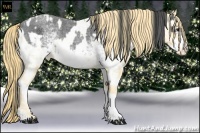 Horse Color:White Spotted Blue Roan Splash and Buckskin Roan Pearl Tobiano Frame Appaloosa