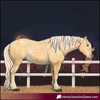 Horse Color:Palomino Ice Varnish 