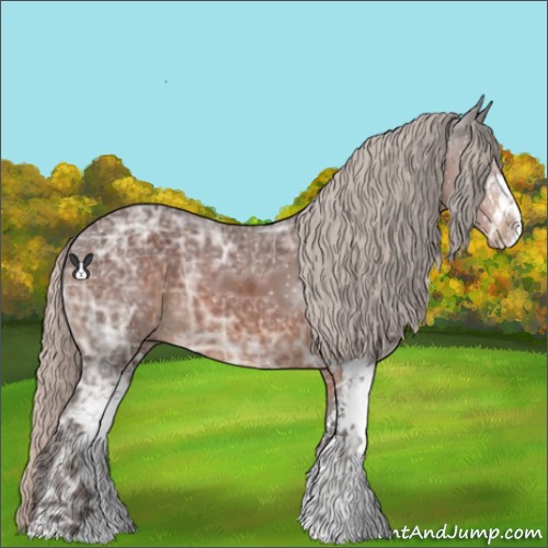 Horse Color:Silver Brown Ice Sabino