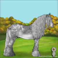 Horse Color:Silver Black Chinchilla Ice