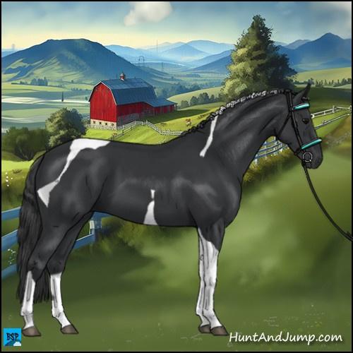 Horse Color:Black Tobiano 