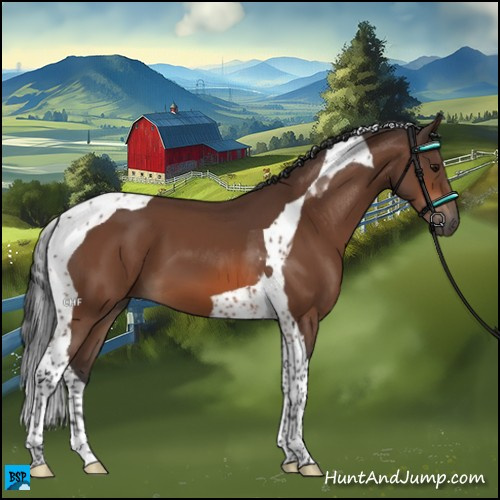 Horse Color:Bay Tobiano 