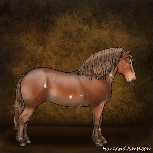 Horse Color:White Spotted Liver Chestnut Sabino 