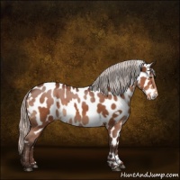 Horse Color:White Spotted Silver Brown Appaloosa 