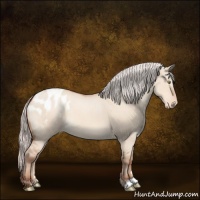 Horse Color:Silver Sable Champagne Dun Appaloosa 