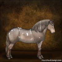 Horse Color:White Spotted Liver Red Dun 