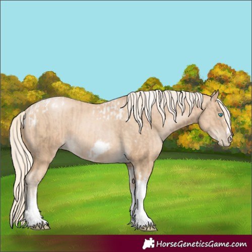 Horse Color:Chocolate Palomino Pearl Tobiano Frame  and Palomino Pearl Tobiano Frame 