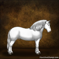 Horse Color:Silver Brown Dun Appaloosa 