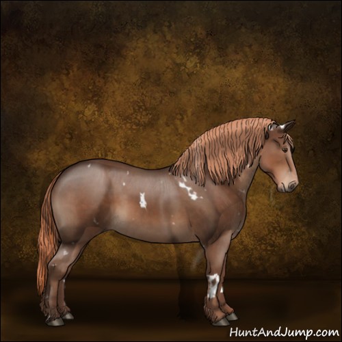 Horse Color:White Spotted Liver Chestnut 