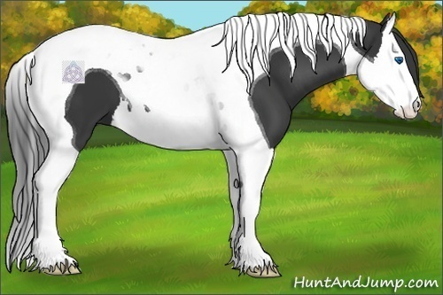Horse Color:Black Splash Tobiano 