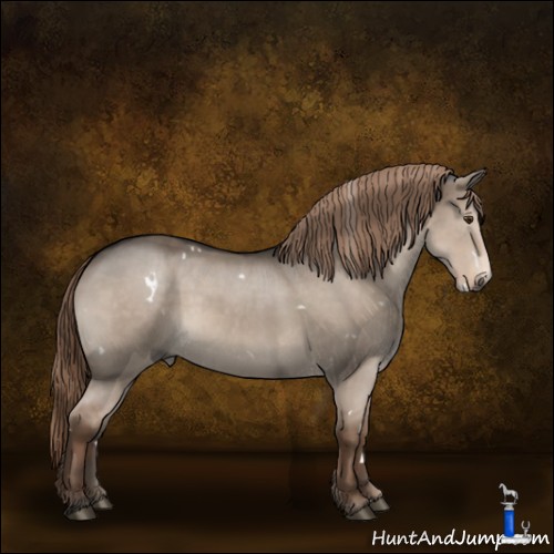 Horse Color:White Spotted Liver Red Dun 