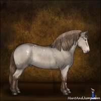 Horse Color:White Spotted Liver Red Dun 