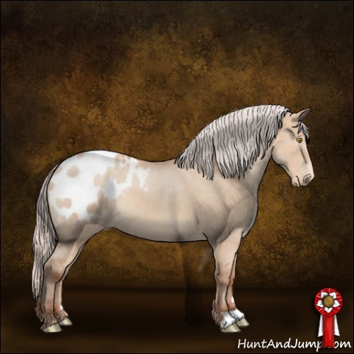 Horse Color:Silver Sable Champagne Dun Appaloosa