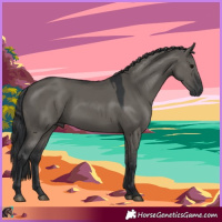 Horse Color:Grullo 