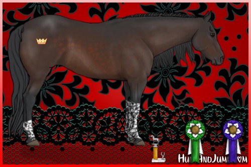 Horse Color:Brown Tobiano 