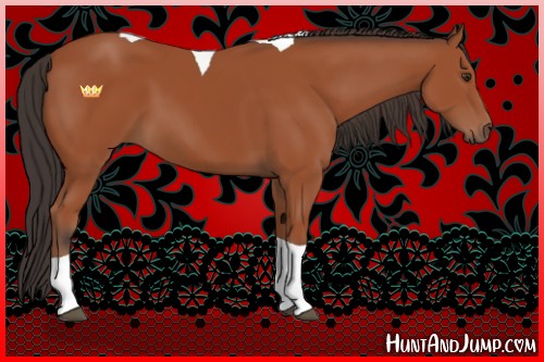 Horse Color:Bay Sabino Tobiano