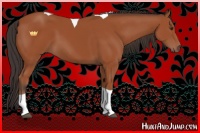Horse Color:Bay Sabino Tobiano