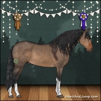 Horse Color:Brown Dun Tobiano 